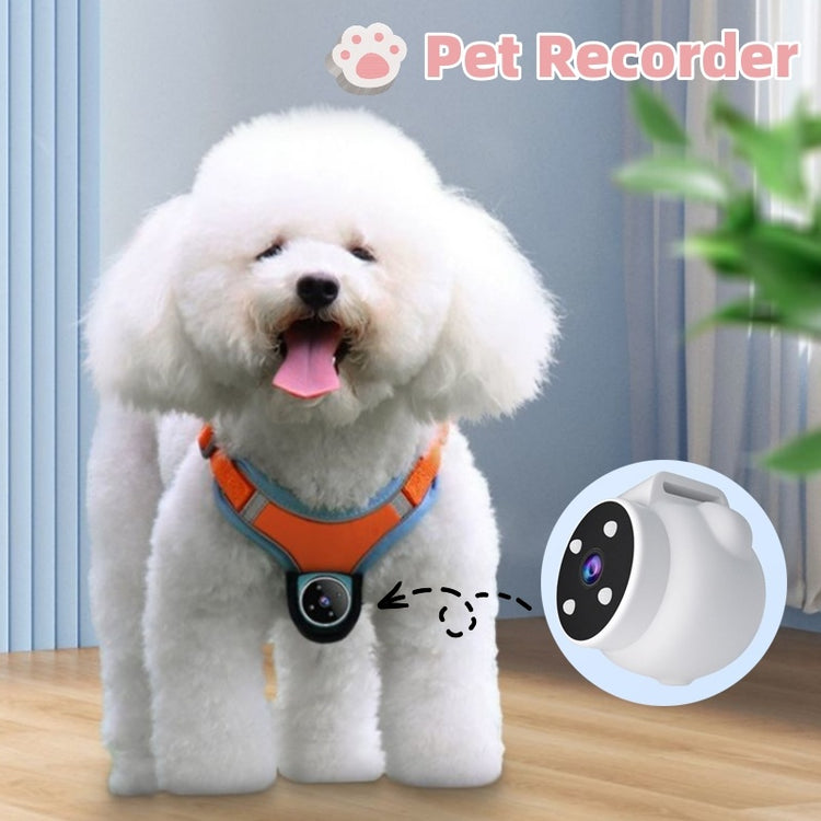 Pets Recorder Pet Tracker Collar Dogs And Cats - Swefashionstore