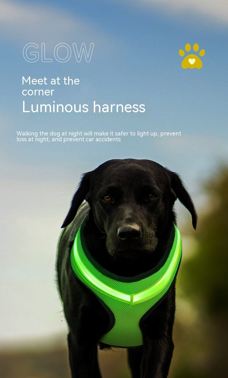 LED Luminous Dog Harness - Swefashionstore