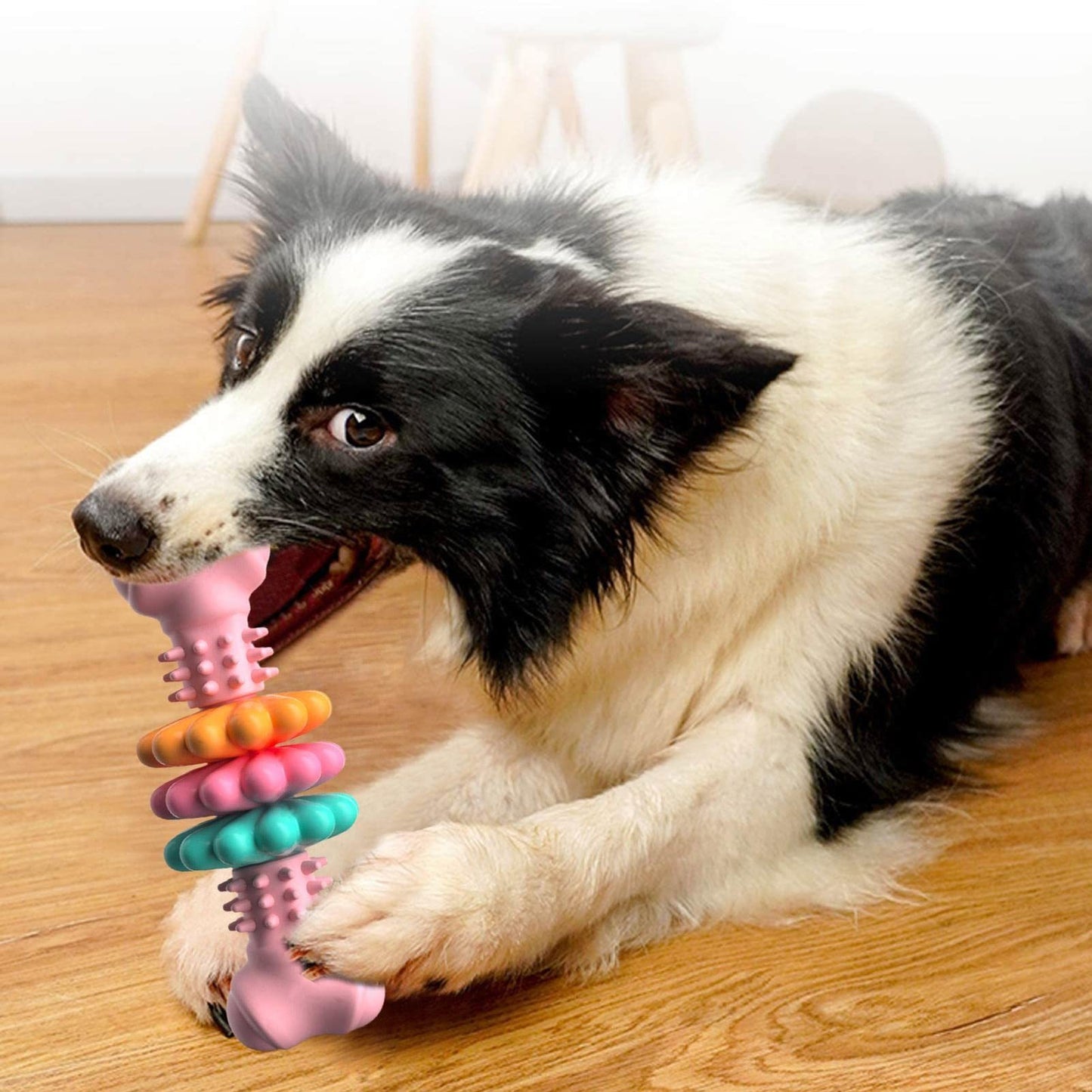 Dog Chew Toy Teeth Cleaning Indestructible TPR Bone