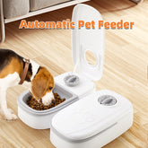 Automatic Pet Feeder Smart Food Dispenser For Cats Dogs Timer Stainless Steel Bowl Auto Dog Cat Pet Feeding Pets Supplies - Swefashionstore