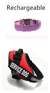 LED Dog Collar Safety Adjustable Nylon Leopard Pet Collar - Swefashionstore