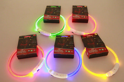 Pet Flashing Collar USB Rechargeable Necklace