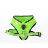 LED Luminous Dog Harness - Swefashionstore
