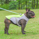 Dog Cooling Vest Heat Resistant - Swefashionstore