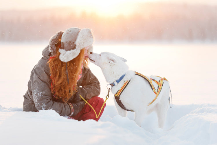 Winterfeeling: Embrace the Warmth of Winter Essentials