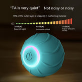 Smart Cat Toys Rolling Ball - Swefashionstore