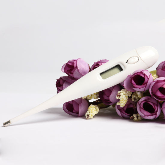 Elektronisk termometer