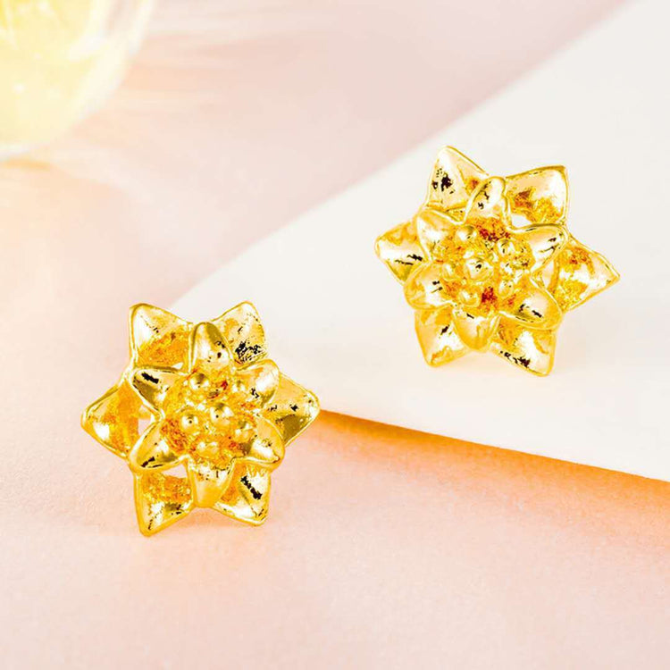 24K Gold Plated Earrings Euro Gold Jewelry New Popular Earrings - Swefashionstore