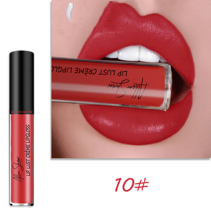 Silky Cream Texture Lip Gloss Aliexpress Shopee Cross-Border Exclusive Lip Glaze Lip Gloss Lipstick - Swefashionstore