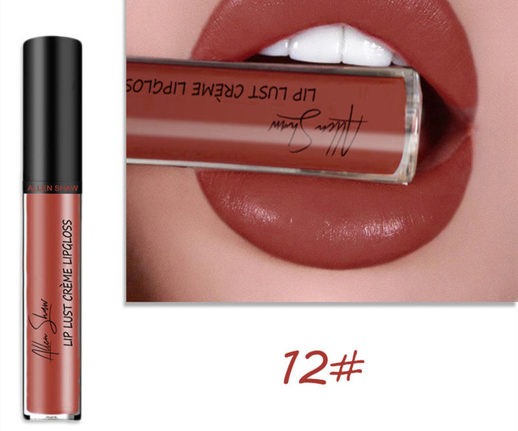 Silky Cream Texture Lip Gloss Aliexpress Shopee Cross-Border Exclusive Lip Glaze Lip Gloss Lipstick - Swefashionstore