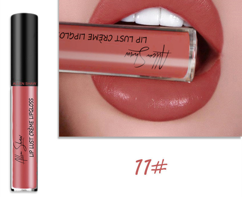 Silky Cream Texture Lip Gloss Aliexpress Shopee Cross-Border Exclusive Lip Glaze Lip Gloss Lipstick - Swefashionstore