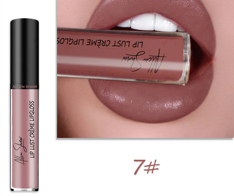 Silky Cream Texture Lip Gloss Aliexpress Shopee Cross-Border Exclusive Lip Glaze Lip Gloss Lipstick - Swefashionstore