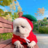 Dog Clothes For Small Dogs Hoodies - Swefashionstore
