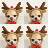 Dog Clothes For Small Dogs Hoodies - Swefashionstore