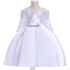 Kids Girls Dress Toddler Tops Skirts Kid Clothes Children - Swefashionstore