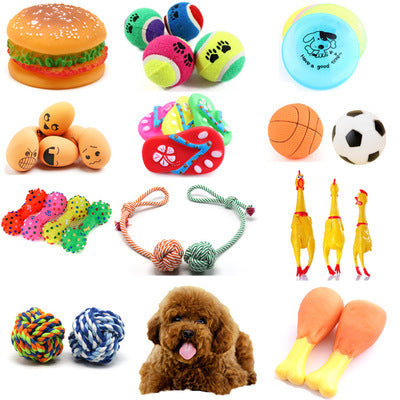 Spielzeugball für Hunde