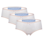 3Pcs Pack Menstrual Panties Women Underwear - Swefashionstore