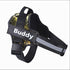 Personalized Dog Harness NO PULL - Swefashionstore