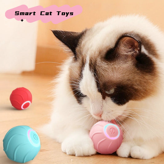 Smartes Katzenspielzeug Rollball