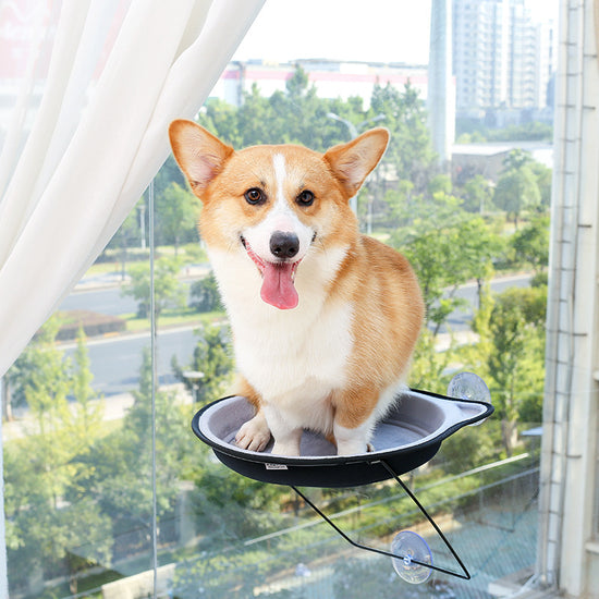 Kattbädd med sugfönster - Rundt soltorkande kattbo för bekväm avkoppling för husdjur