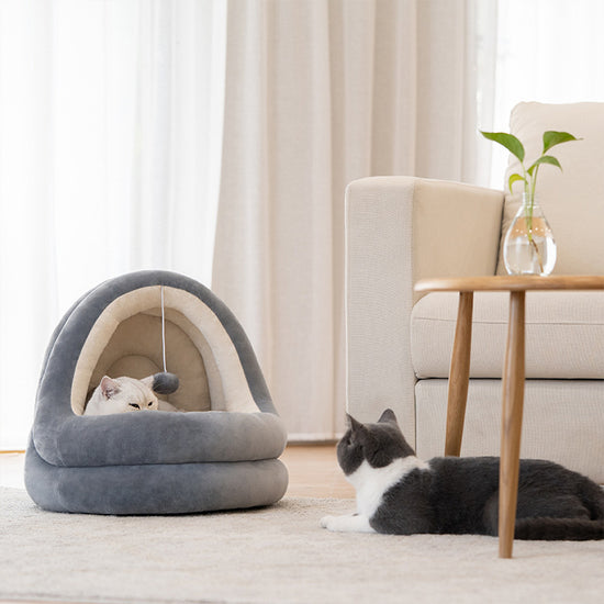 High Quality Cat House Beds Kittens Pet Sofa Mats - Swefashionstore