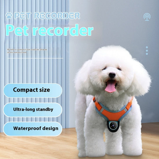 Pets Recorder Pet Tracker Collar Dogs And Cats - Swefashionstore