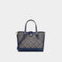 New Jacquard Star Diamond Portable Small Tote Bag