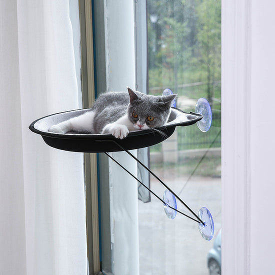 Sucker Window Cat Bed - Round Sun-Drying Cat Nest for Comfortable Pet Relaxation