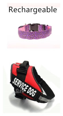 LED-Hundehalsband, Sicherheits-Halsband aus Nylon mit verstellbarem Leopardenmuster