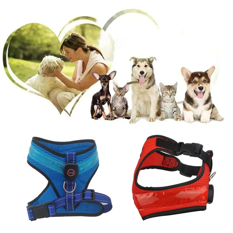 LED Luminous Dog Harness